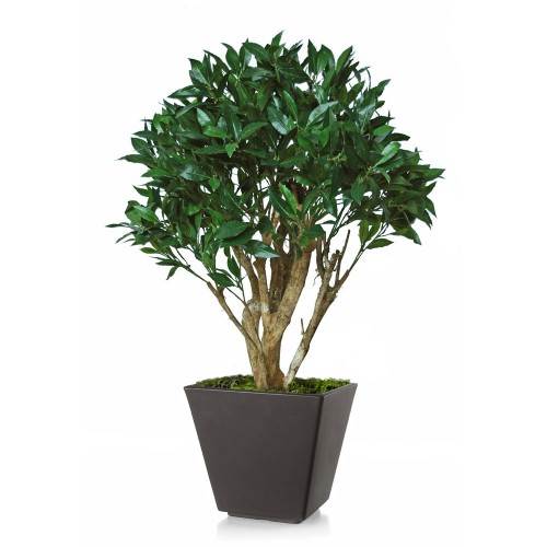 Planta semi-artificiala Ila, Laurel Robustina Green - 100 cm